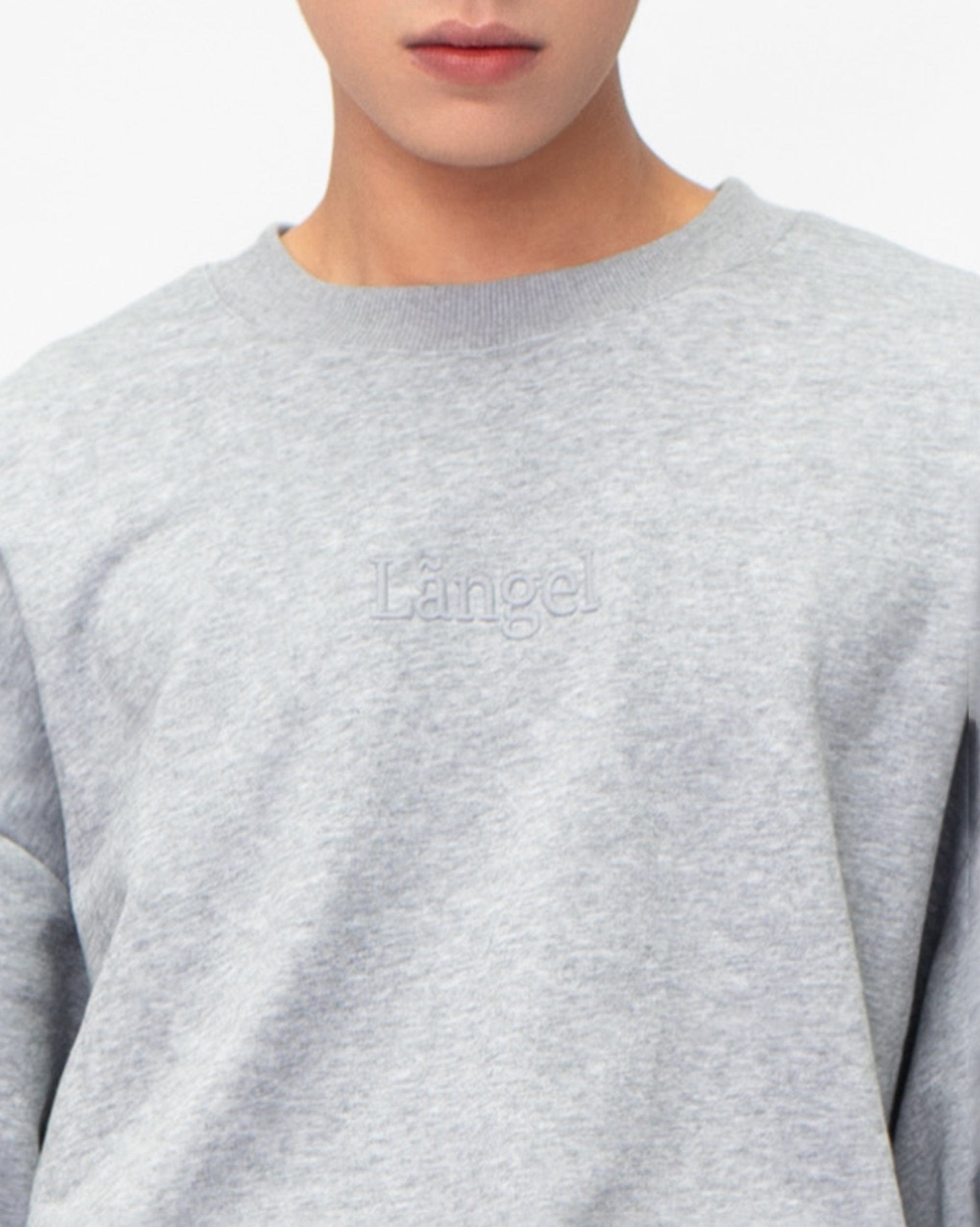 Grey Sweatshirt with Angel Wings Details on the Back