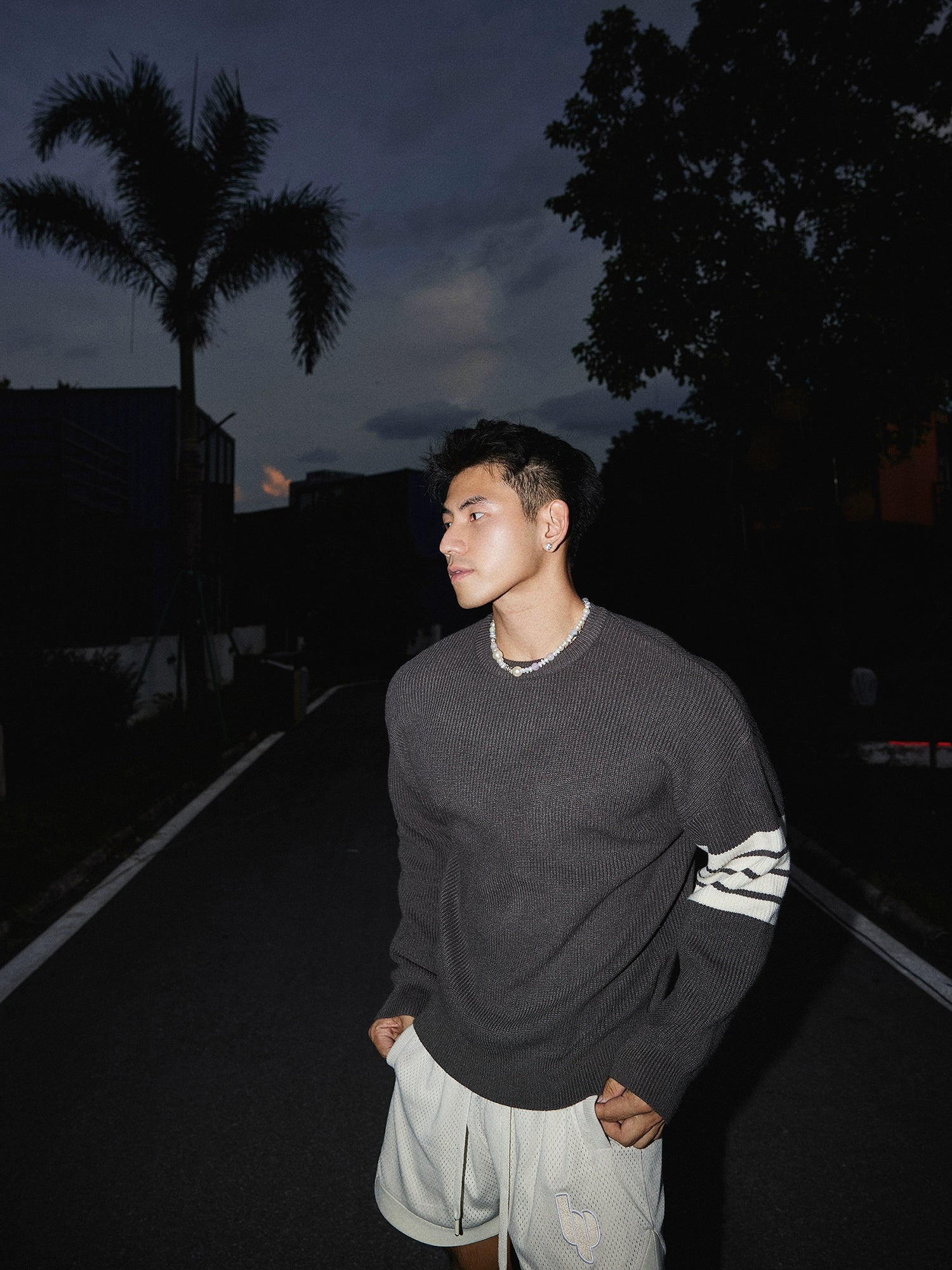 Crewneck Striped Sleeve Sweater