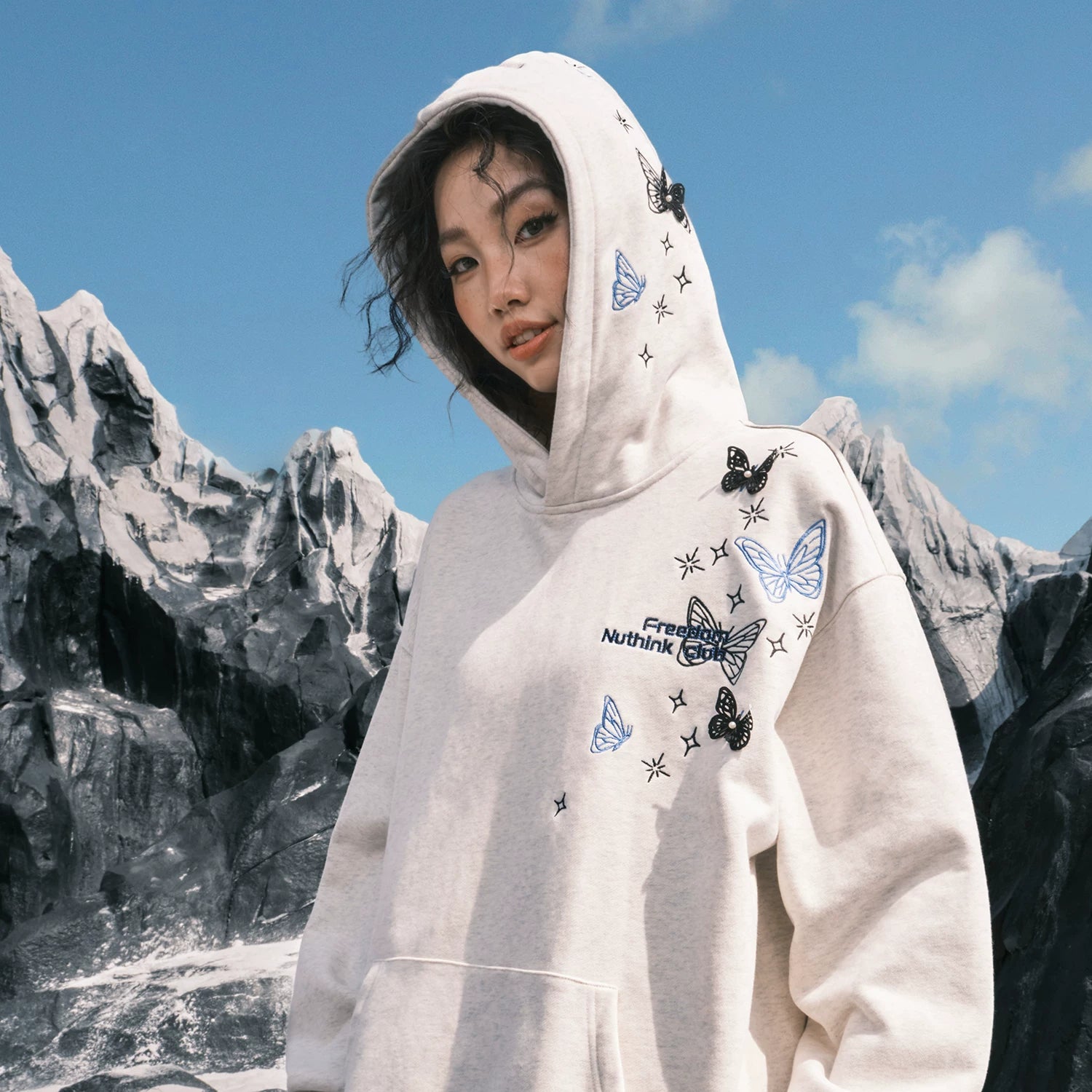 Butterfly Embroidered Oversized Pullover Hoodie
