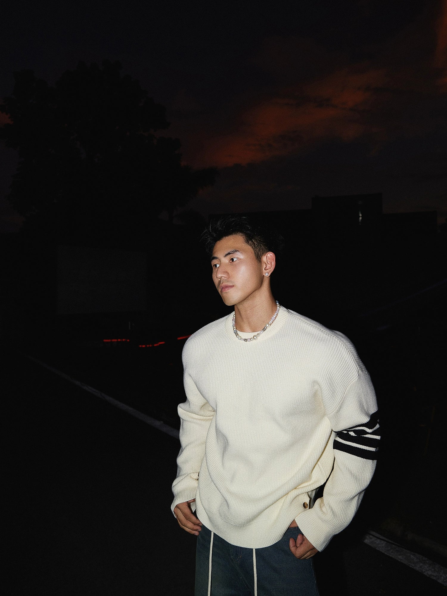 Crewneck Striped Sleeve Sweater