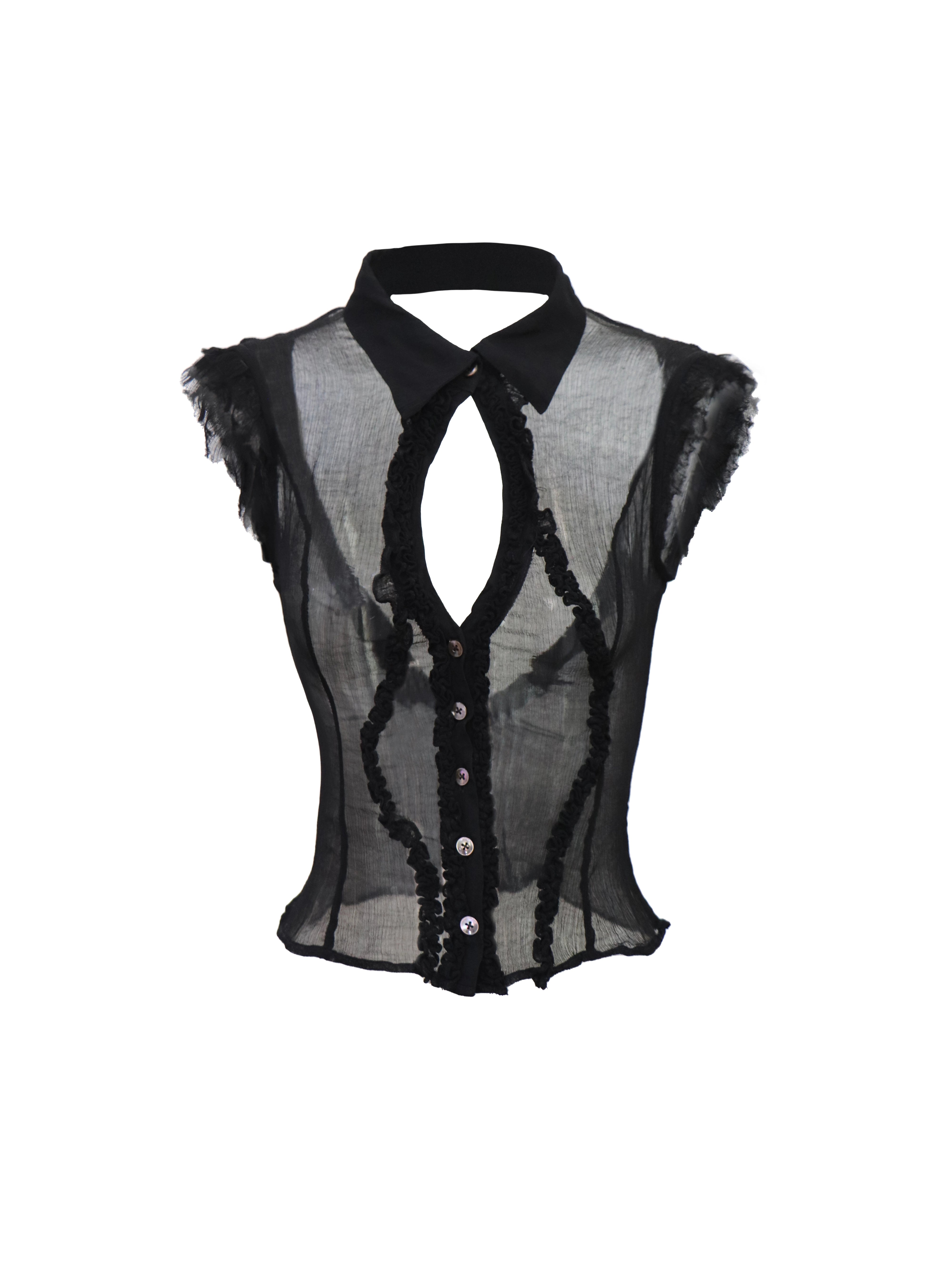 Night Chant Sheer Blouse