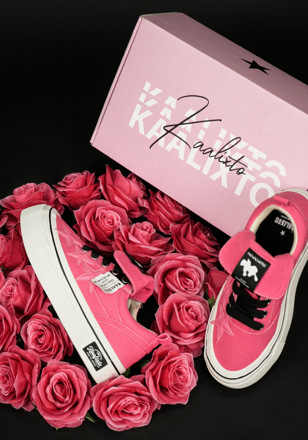 Raspberry Star-Panel Canvas Sneakers - View 4
