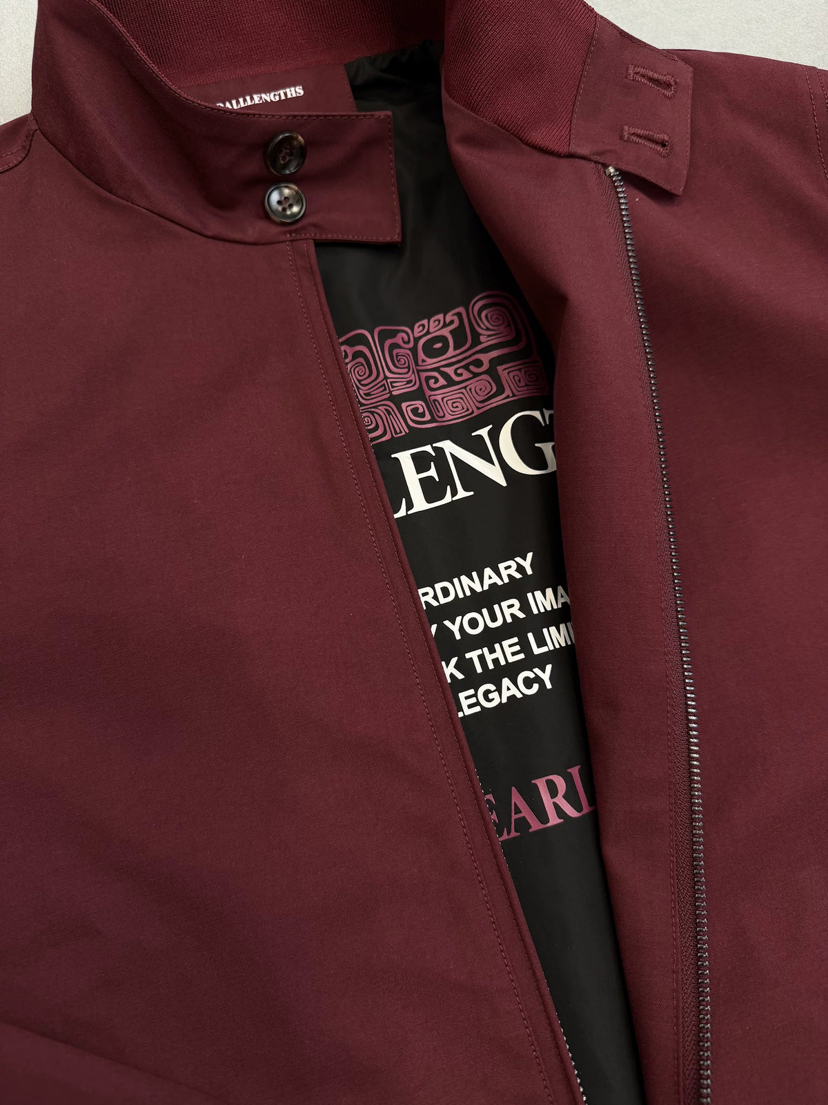 Button-Tab Stand-Collar Zip Jacket product view 2