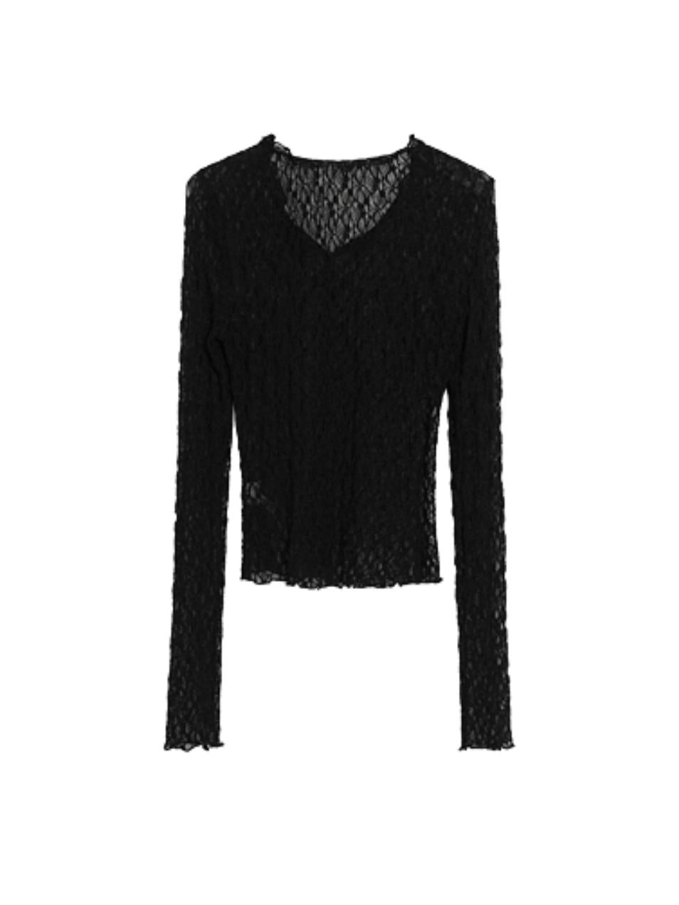 Sheer Lace Long Sleeve Crop Top - Gothic Mesh V-Neck Blouse