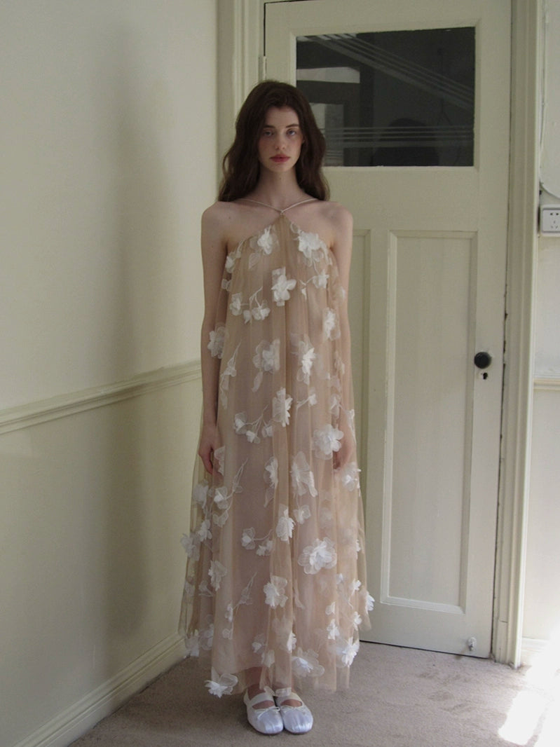 Floral Appliqué Sheer Maxi Dress