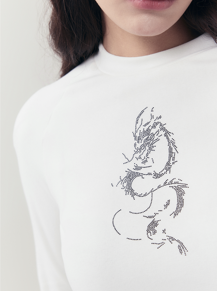 Dragon Embroidered Black Sweatshirt