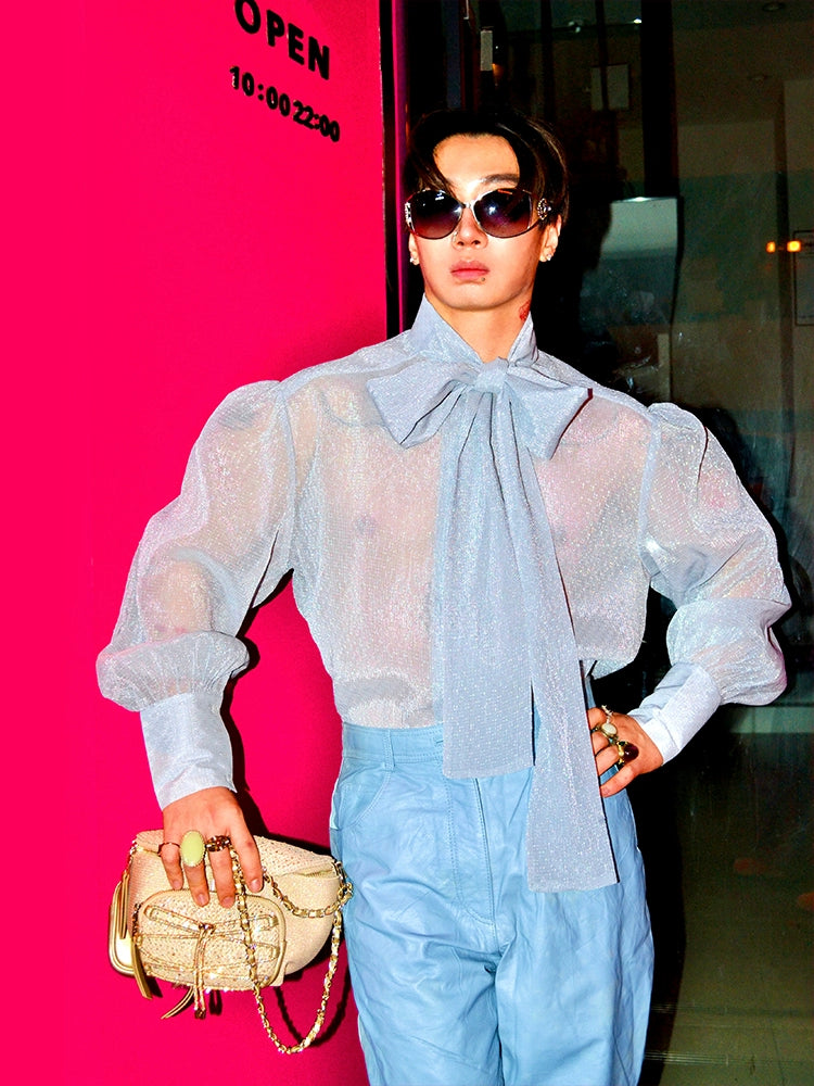 Powder Blue Sheer Bow Blouse