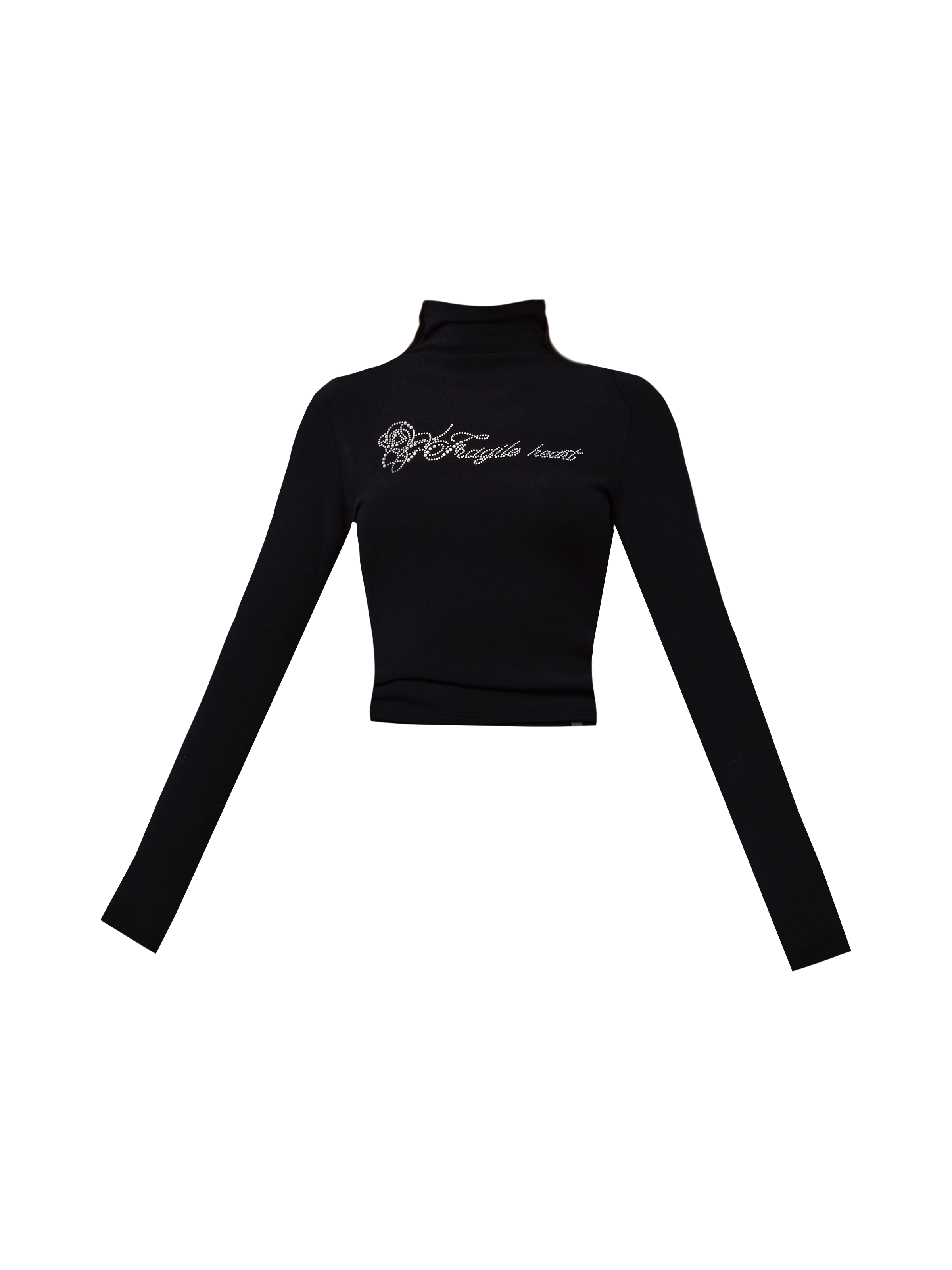 Cropped Turtleneck Long Sleeve Logo Top