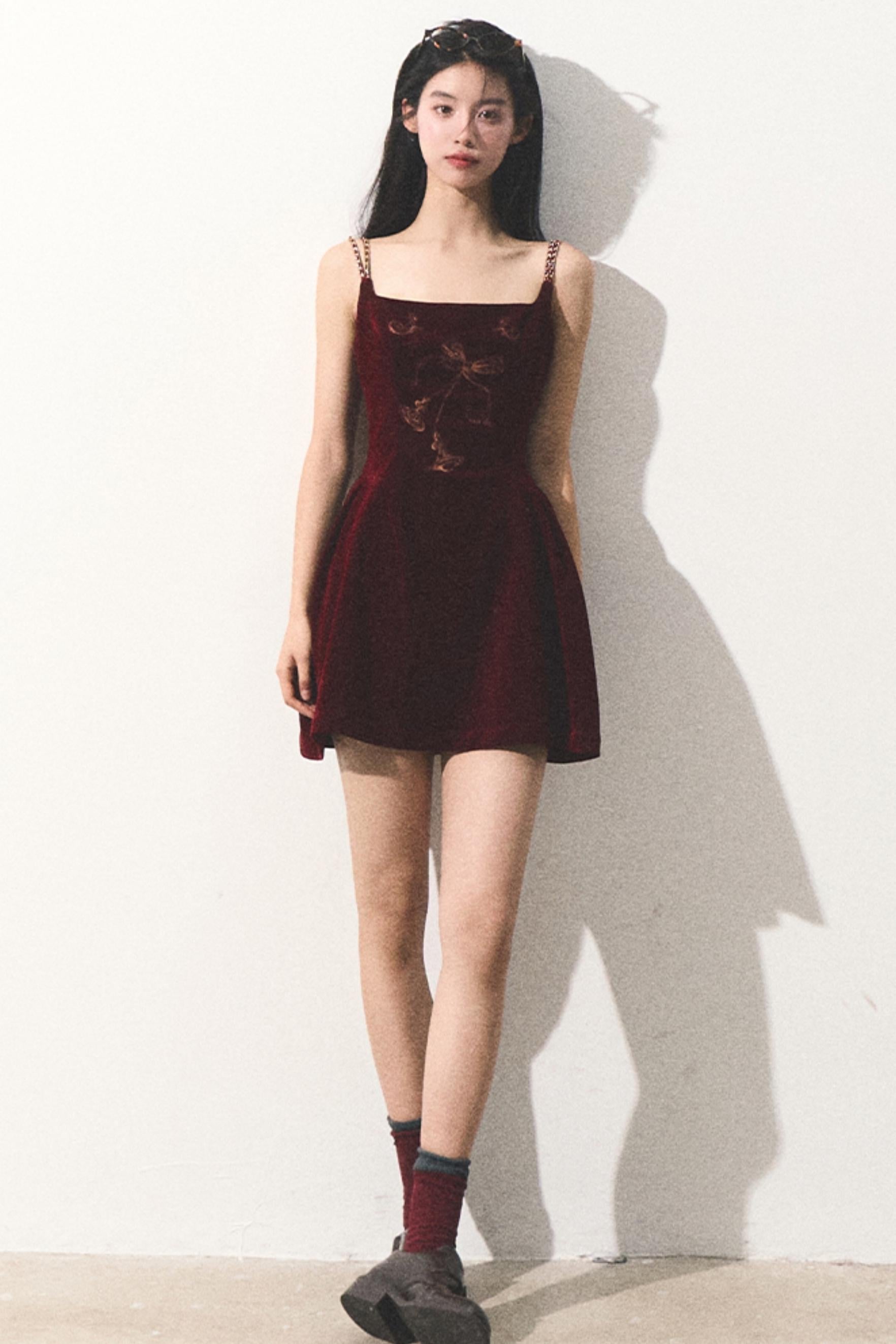 Velvet Embroidered Mini Dress