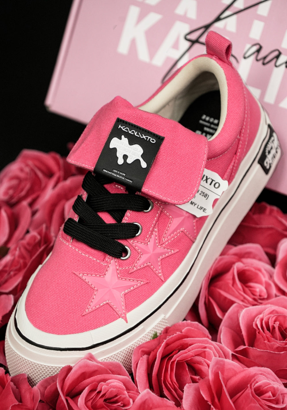 Raspberry Star-Panel Canvas Sneakers - View 13